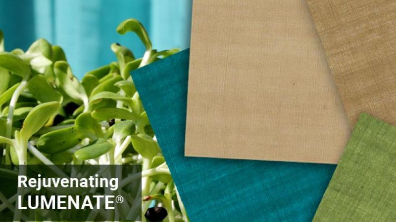 Fiber Lumenate Collection