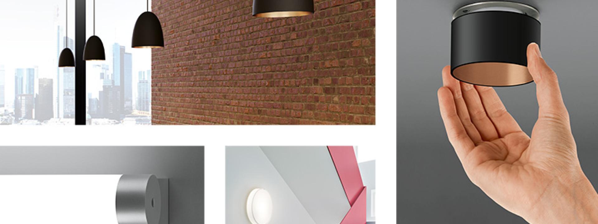 Limburg Collection Catalog 5