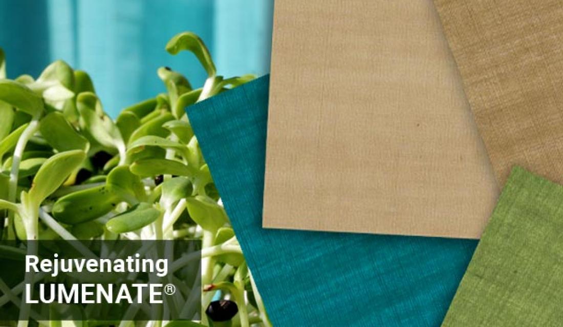 Fiber Lumenate Collection